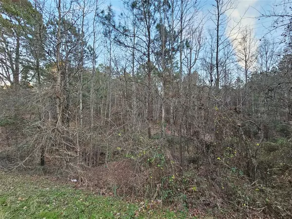 Gilmer, TX 75645,9557 Fm-726 S