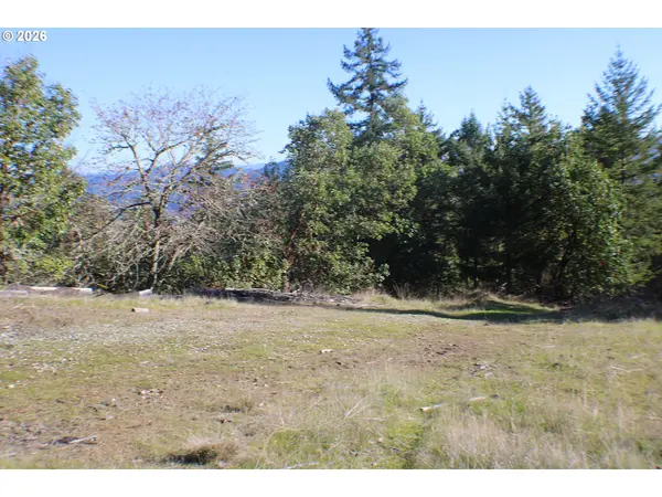 0 SPRING BROOK RD, Myrtle Creek, OR 97457