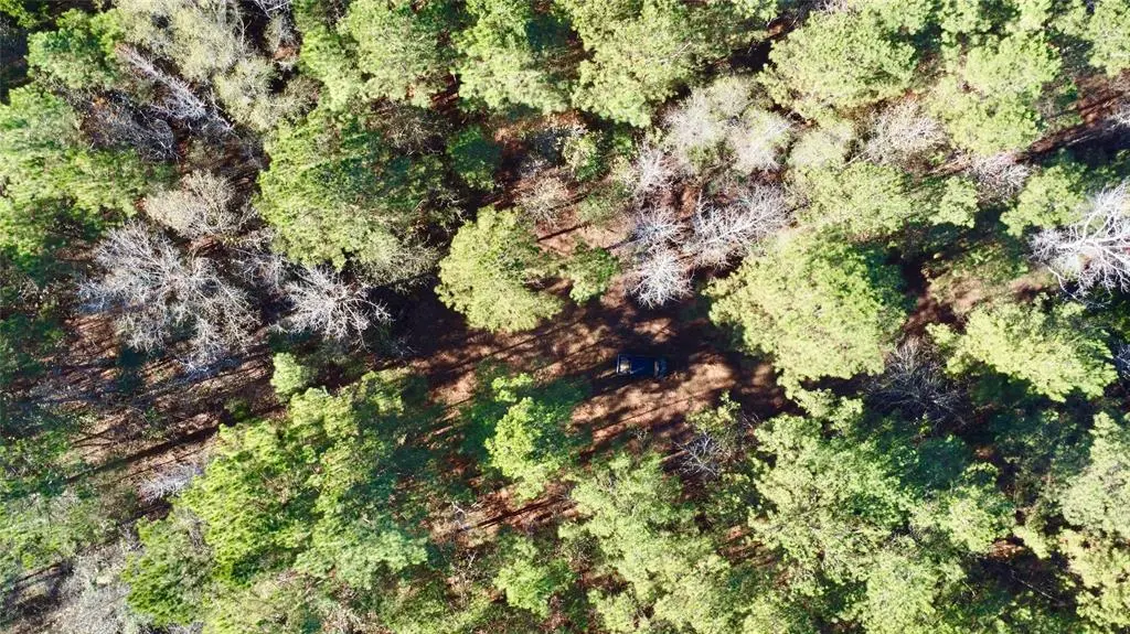 Hughes Springs, TX 75656,TBD CR 2921