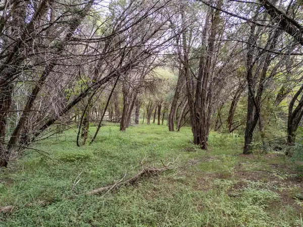 China Spring, TX 76633,TBD Woodland Circle