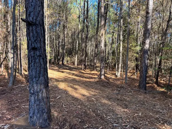 Hughes Springs, TX 75656,TBD CR 2921