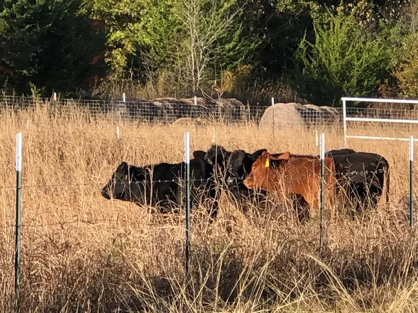 Van Alstyne, TX 75495,5016 Fm 121