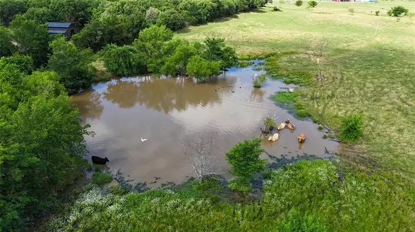 Callisburg, TX 76273,TBD CR 166