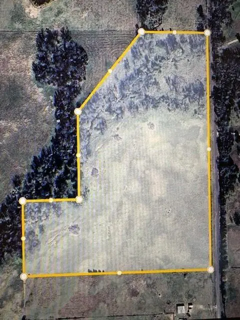 Brashear, TX 75420,TBD County Rd 1119