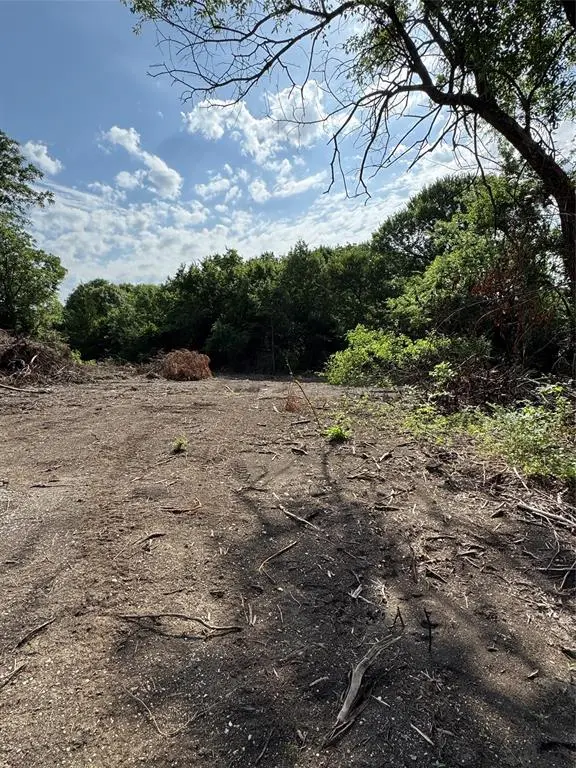 Gunter, TX 75058,TBD Burke Road