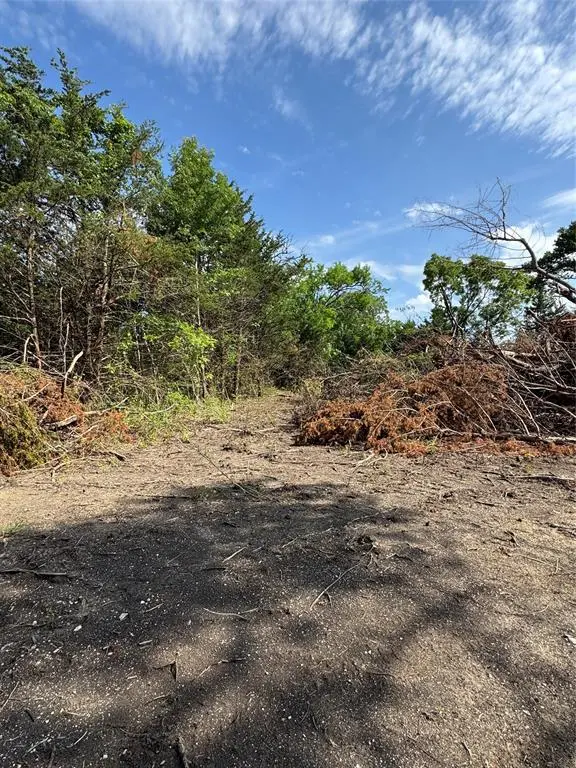 Gunter, TX 75058,TBD Burke Road