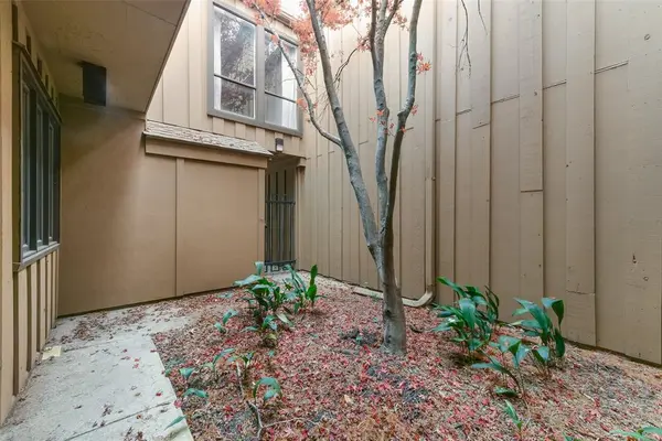 Farmers Branch, TX 75234,3161 Golden Oak