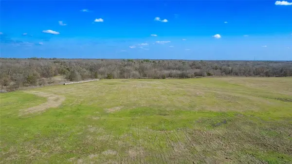 Winnsboro, TX 75494,80ac Lot2 County Road 2376 #2