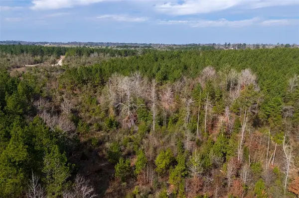 Center, TX 75935,00 County Road 1247