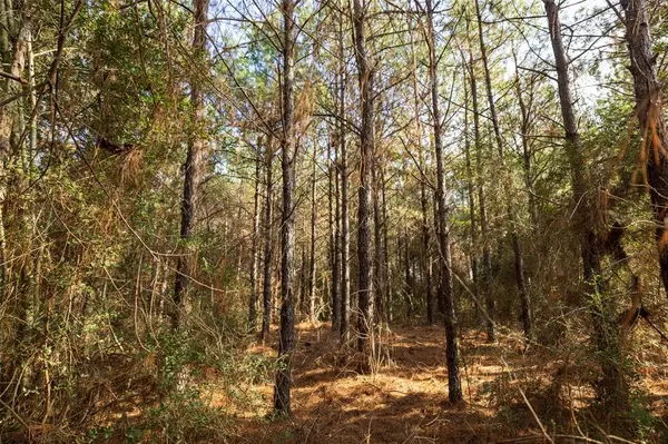 Center, TX 75935,00 County Road 1247