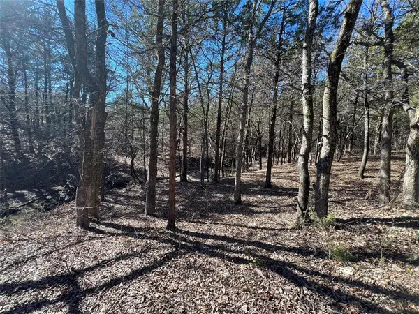 Whitewright, TX 75491,8708 Fm 697