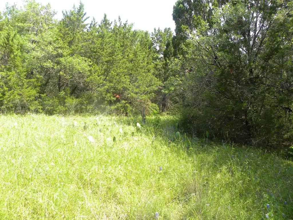 Whitney, TX 76692,1303 Ash Court