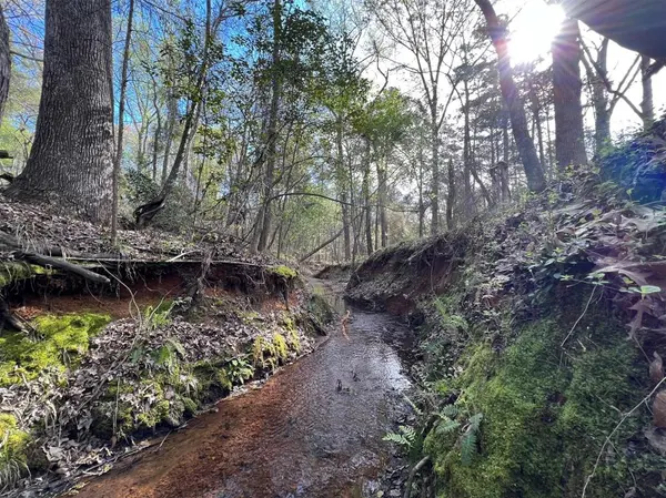 Lindale, TX 75771,000 County Road 434