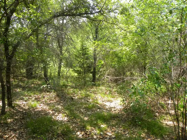 Whitney, TX 76692,1303 Ash Court