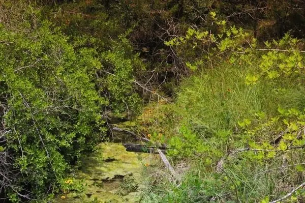 Weatherford, TX 76085,104 W Stagecoach Trail