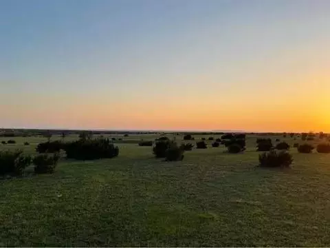 Godley, TX 76044,12865 Torello Court