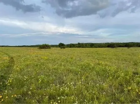 Godley, TX 76044,12865 Torello Court