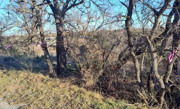 May, TX 76857,56 Brook Valley Drive