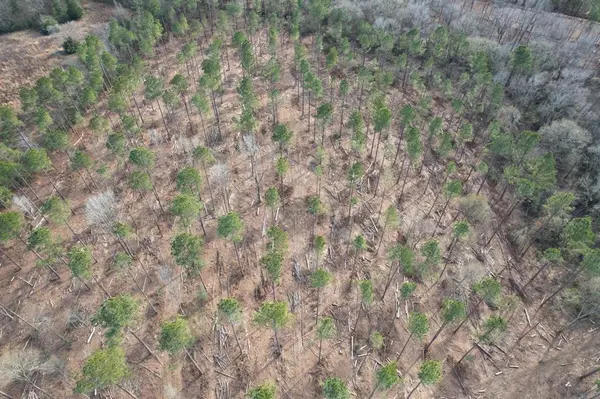 Timpson, TX 75975,Tract B County Road 4037