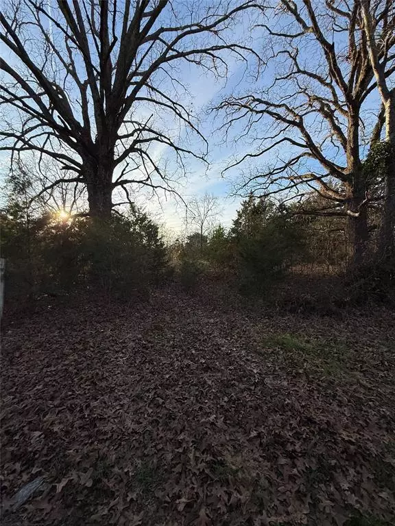 Pittsburg, TX 75686,TBD County Road 4950