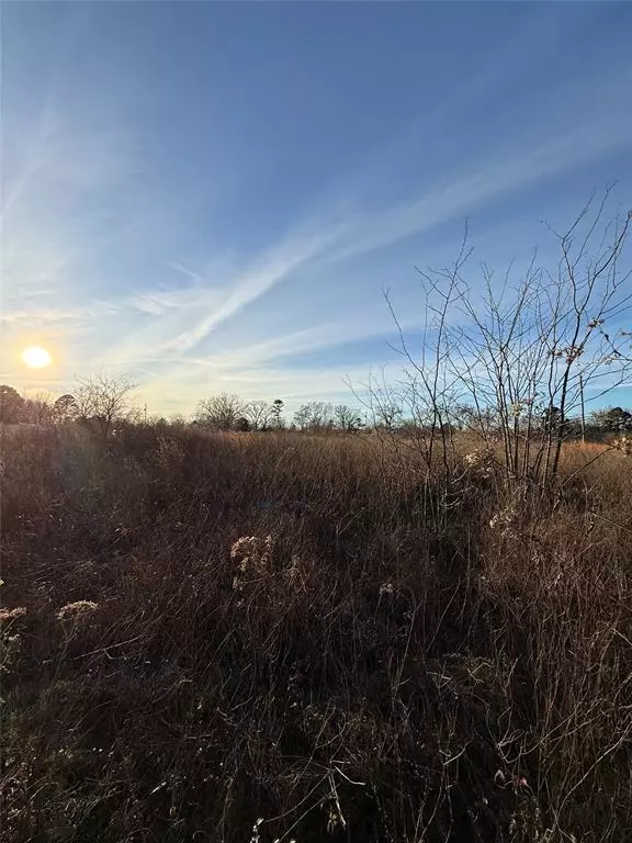 Pittsburg, TX 75686,TBD County Road 4950