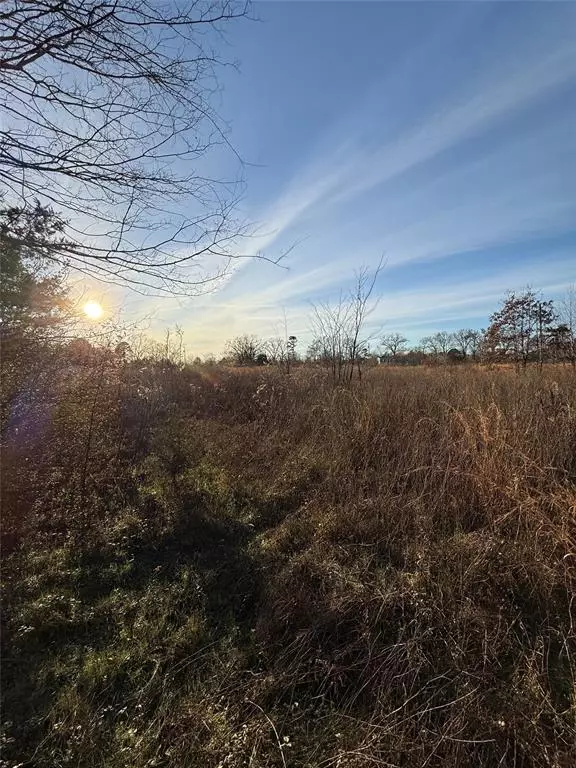 Pittsburg, TX 75686,TBD County Road 4950