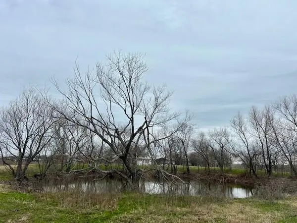 Dawson, TX 76639,TBD SW CR 4260