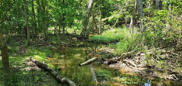 Mineola, TX 75773,400 County Road 2775