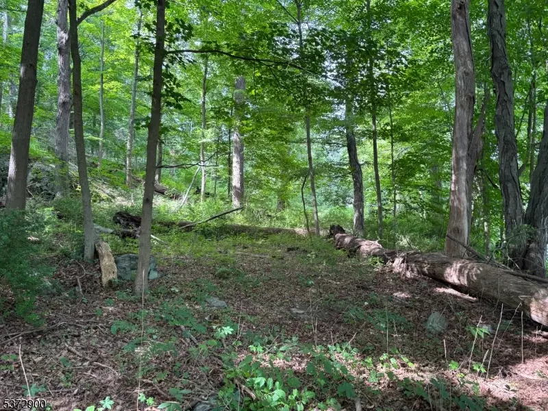 Allamuchy Twp., NJ 07840,300 Alphano Road