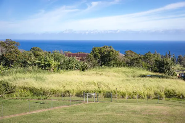 Ookala, HI 96774,39-3383 HANA IKA LUNA CAMP RD