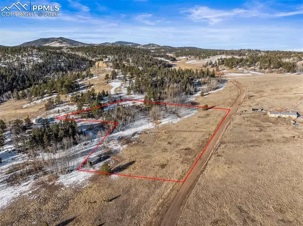 Florissant, CO 80816,546 Alpine Meadows LN