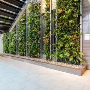 Toronto C11, ON M4G 0A5,35 Brian Peck CRES #PH18