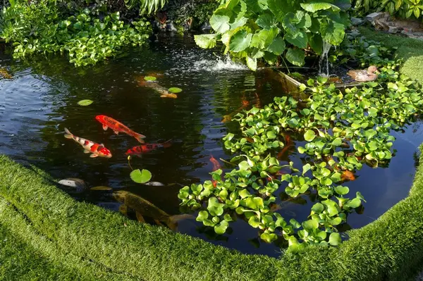 Davie, FL 33314,5973 SW 54th Ct