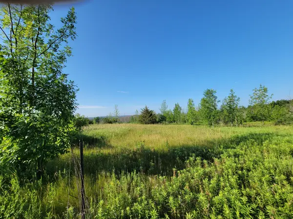 Alnwick/haldimand, ON K0K 2X0,0 Curtis Point RD