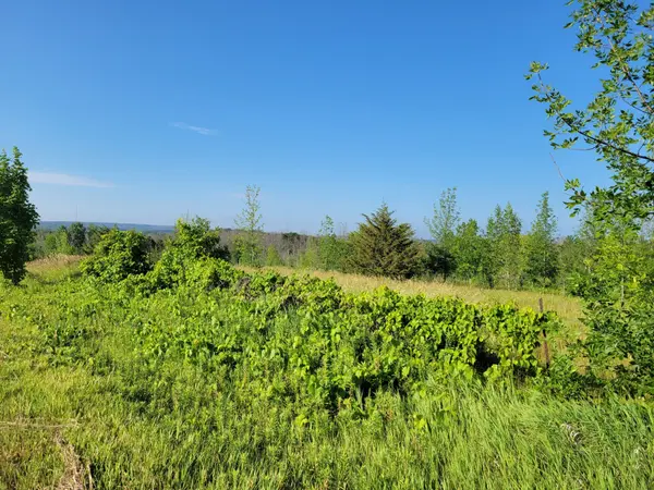 Alnwick/haldimand, ON K0K 2X0,0 Curtis Point RD