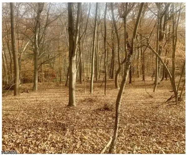 Raritan Twp., NJ 08822,85 Cherryville Hollow Rd