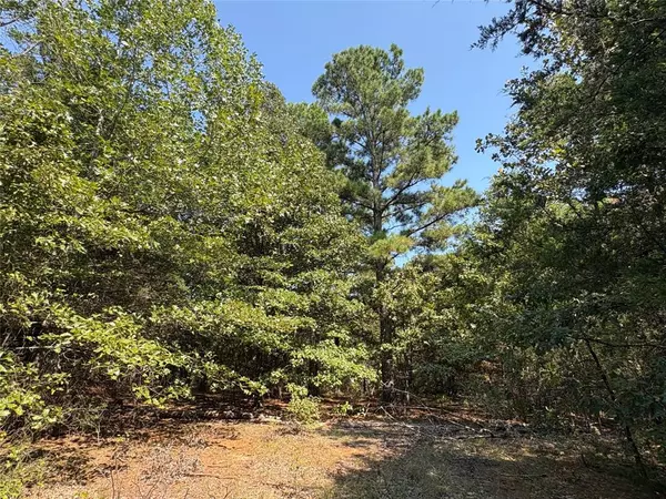 Como, TX 75431,TBD FM 69 #Tract 2