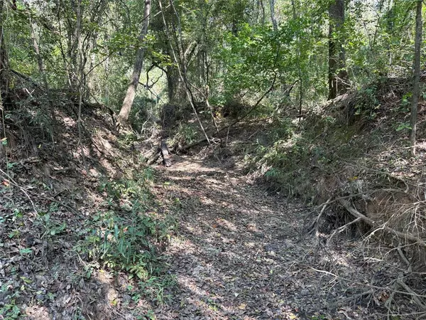 Como, TX 75431,TBD FM 69 #Tract 2