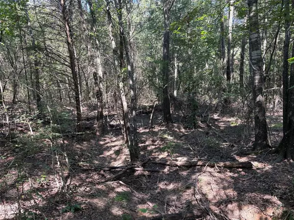 Como, TX 75431,TBD FM 69 #Tract 2