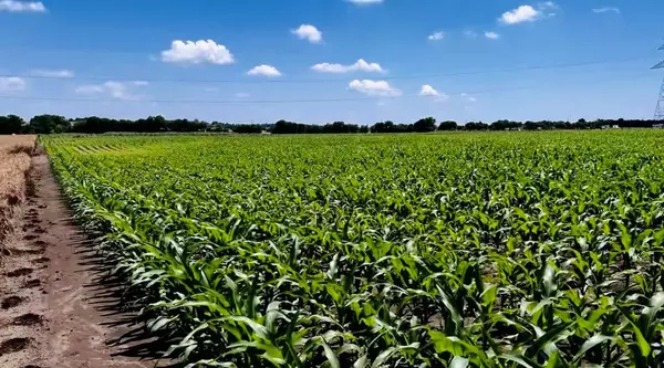 Alvarado, TX 76009,9775 County Road 505