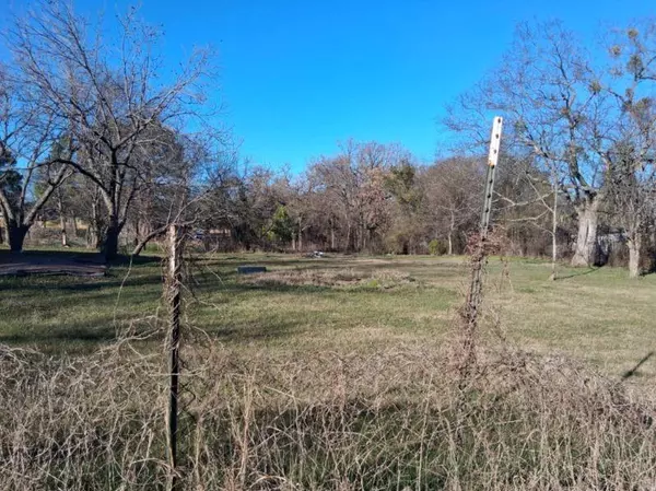 Kemp, TX 75143,8163 Lady Bird