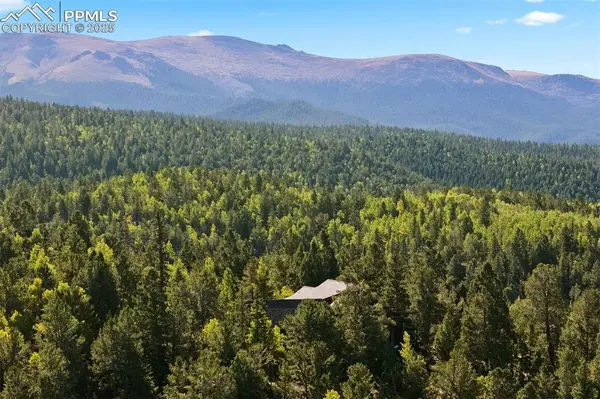 Divide, CO 80814,1010 Cantiberry RD