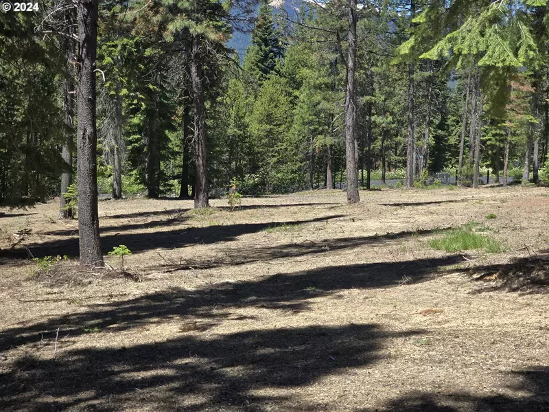 19 Elk Haven, Crescent Lake, OR 97733