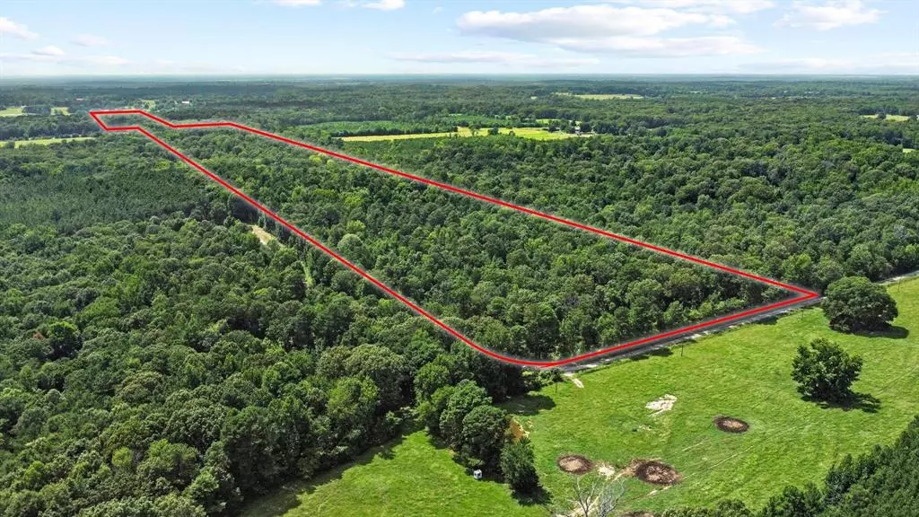 Avery, TX 75554,0000 County Road 4418