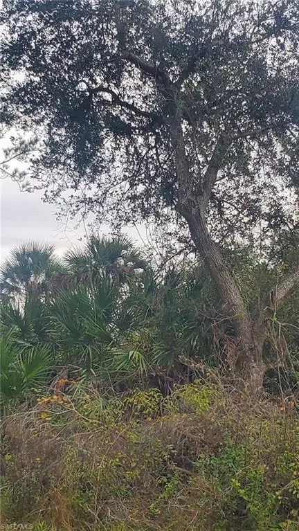 Labelle, FL 33935,315 Ivanhoe Ave