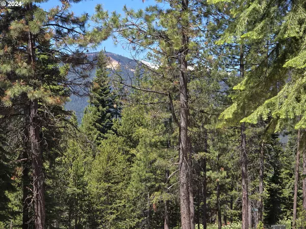 Crescent Lake, OR 97733,19 Elk Haven