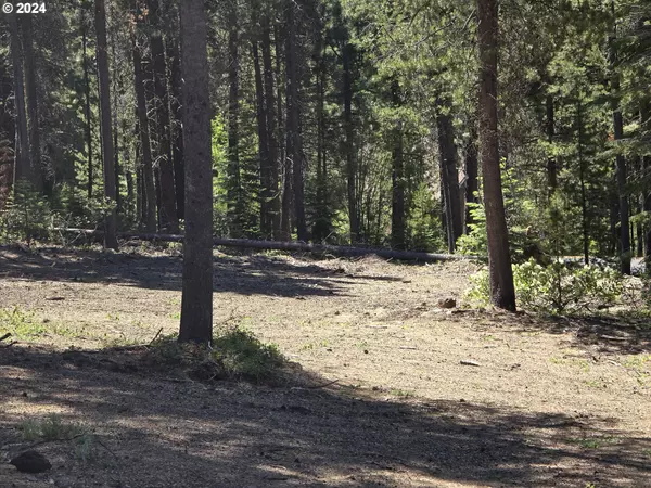 Crescent Lake, OR 97733,19 Elk Haven