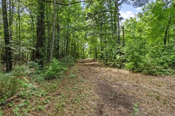 Avery, TX 75554,0000 County Road 4418