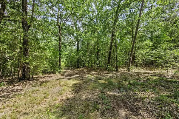 Avery, TX 75554,0000 County Road 4418