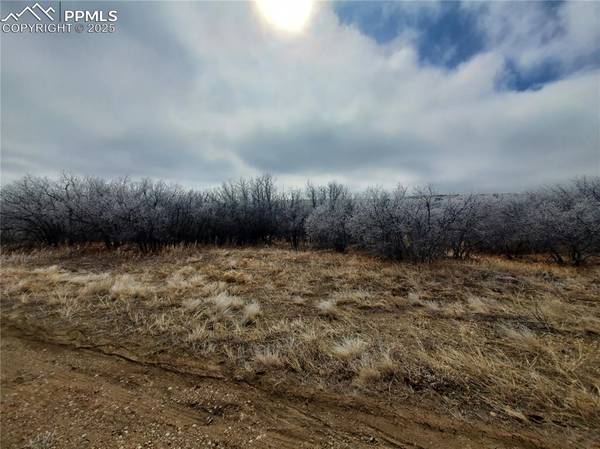 Thacker RD, Colorado City, CO 81069